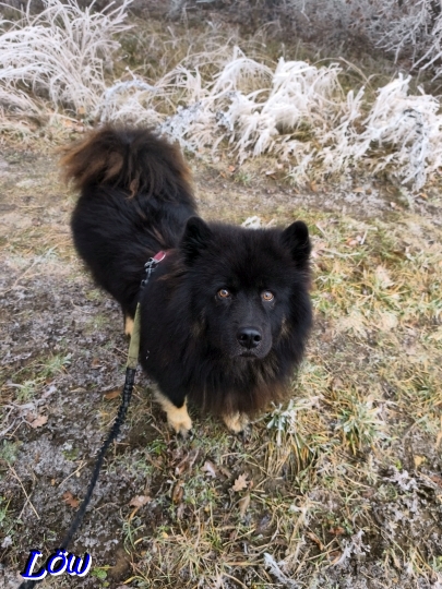 16.12.2025 - Im Reif gelandet